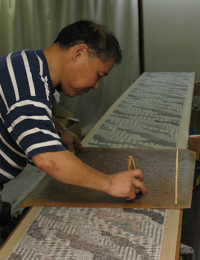 ����򂵗F�T